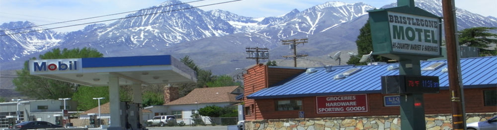 Bristlecone Motel Big Pine Eksteriør billede